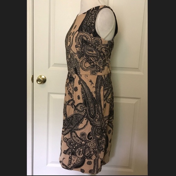 Rabbit Rabbit Rabbit Tan and Black Dress - Picture 3 of 5